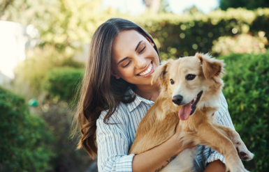 Illustration : À savoir avant d’adopter un chien