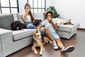 Illustration : "Limiter les mauvaises odeurs chez son chien"
