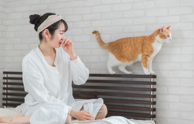 Illustration : Donner de l’eau du robinet à son chat
