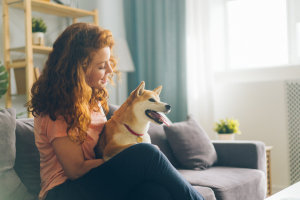 Illustration : "Enrichir l’environnement d’un chien qui vit en appartement"