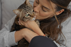 Illustration : "Se faire accompagner après l’adoption de son chat"