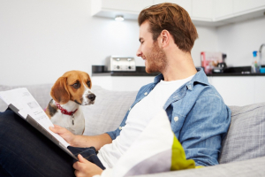 Illustration : "Comprendre les exclusions dans un contrat d’assurance chien"