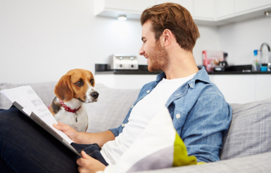 Illustration : Comprendre les exclusions dans un contrat d’assurance chat