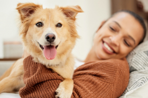 Illustration : "Faire garder son chien sans générer de stress"