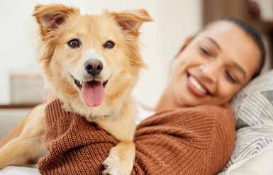 Illustration : Prévenir le tartre chez le chien