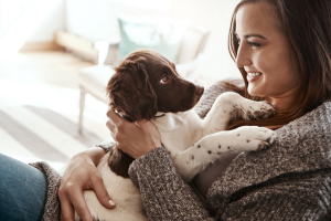 Illustration : "Le coût de la première année d’adoption d’un chiot"