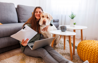 Illustration : Réagir face à une intoxication alimentaire de son chien