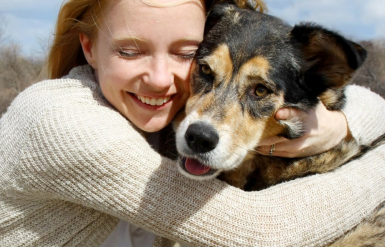 Illustration : Traiter les parasites internes chez le chat