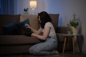 Illustration : "L’assurance chat couvre-t-elle les urgences de nuit ?"