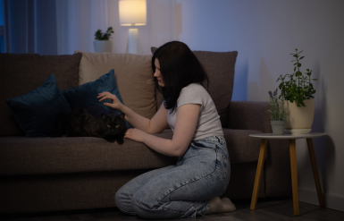 Illustration : &Eacute;viter les erreurs courantes en pr&eacute;parant la nourriture maison de son chat