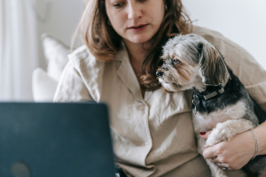 Illustration : "Le tarif d’une téléconsultation vétérinaire pour chien et son remboursement par les assurances"