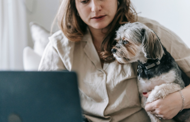 Illustration : Choisir les bonnes croquettes pour bien nourrir son chien