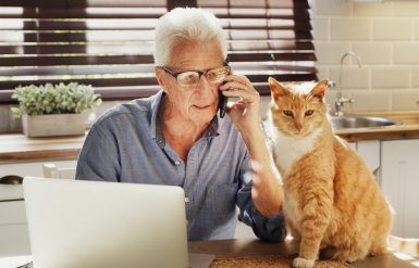 Illustration : L'&eacute;pilepsie chez le chat