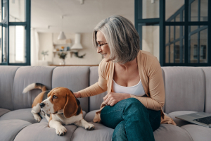 Illustration : "Peut-on assurer son chien à n’importe quel âge ?"
