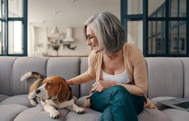 Illustration : G&eacute;rer l&rsquo;incontinence chez un chien &acirc;g&eacute;