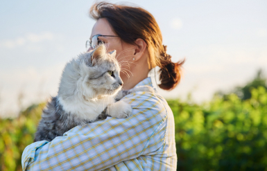 Illustration : Peut-on assurer son chat &agrave; n&rsquo;importe quel &acirc;ge ?